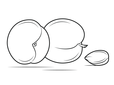 Two Apricots And Seed Coloring Page